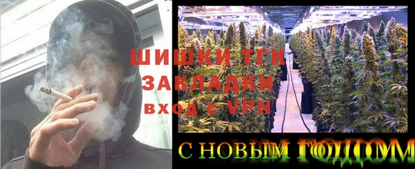 эйфоретик Арсеньев