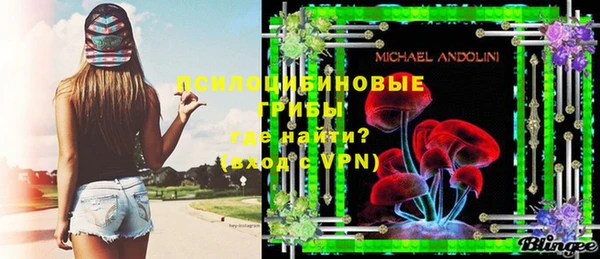 прущие грибы Алексин