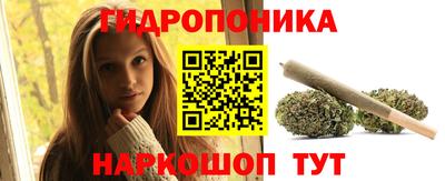 индика Уссурийск