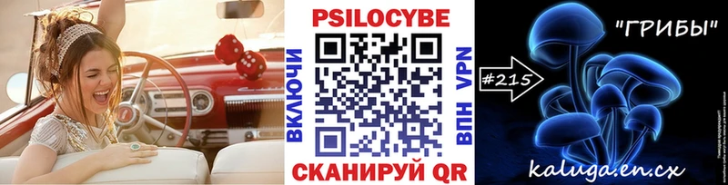 Галлюциногенные грибы Magic Shrooms  цена наркотик  Кыштым 